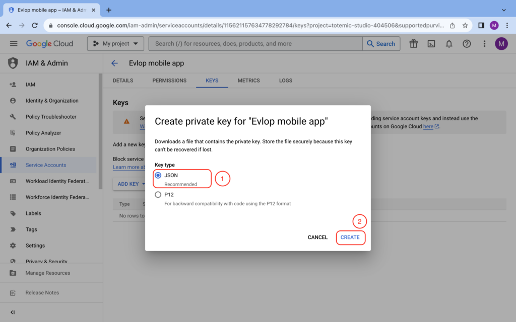 Google Cloud create private key dialog with JSON selected